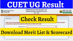 Crack the Code to Your Dream College: A Comprehensive Guide to CUET UG 2024 Results, Merit Lists, and Admissions